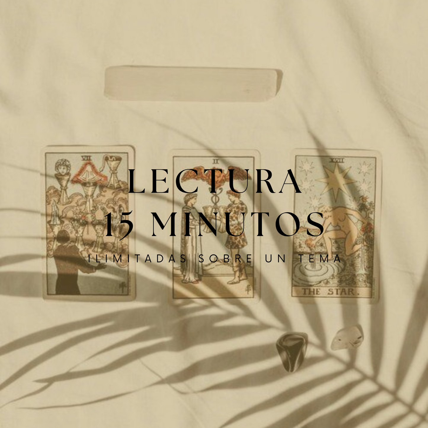 LECTURA 15 MINUTOS