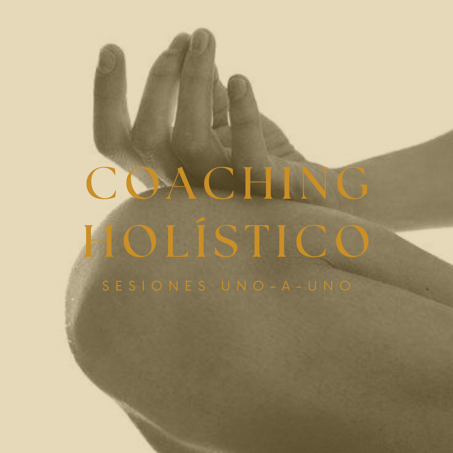 COACHING HOLÍSTICO