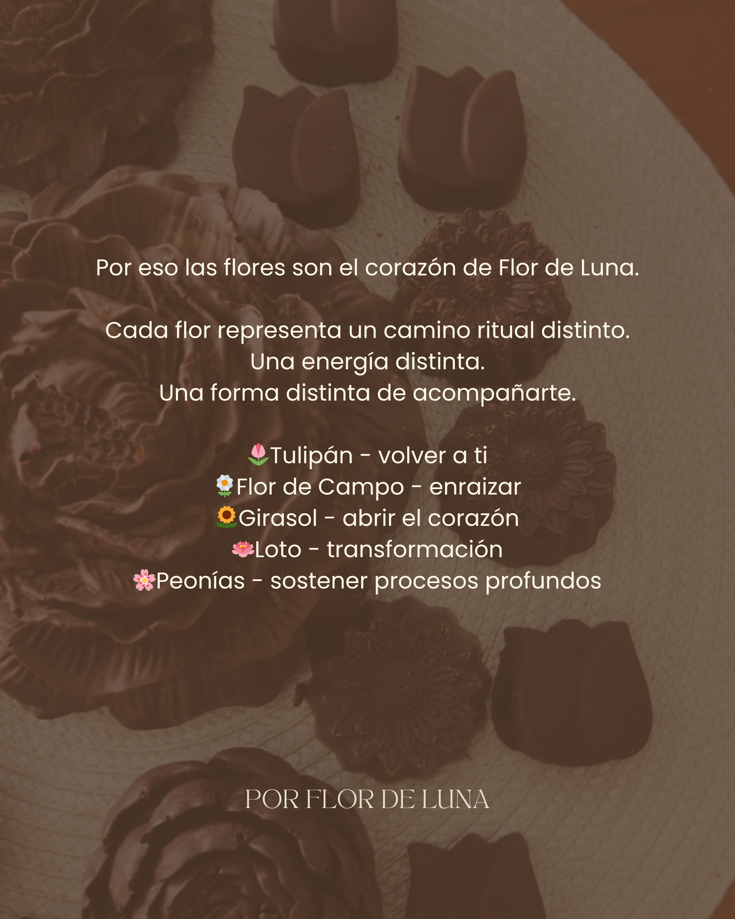 JUNIO - VOLVER AL CUERPO