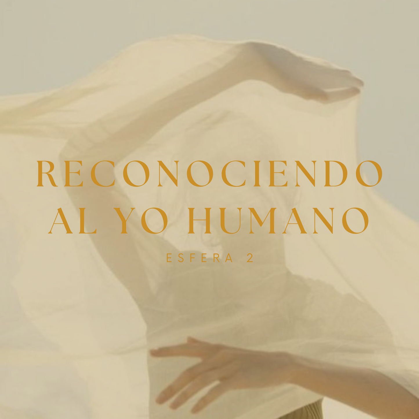 ESFERA 2 - RECONOCIENDO AL YO HUMANO