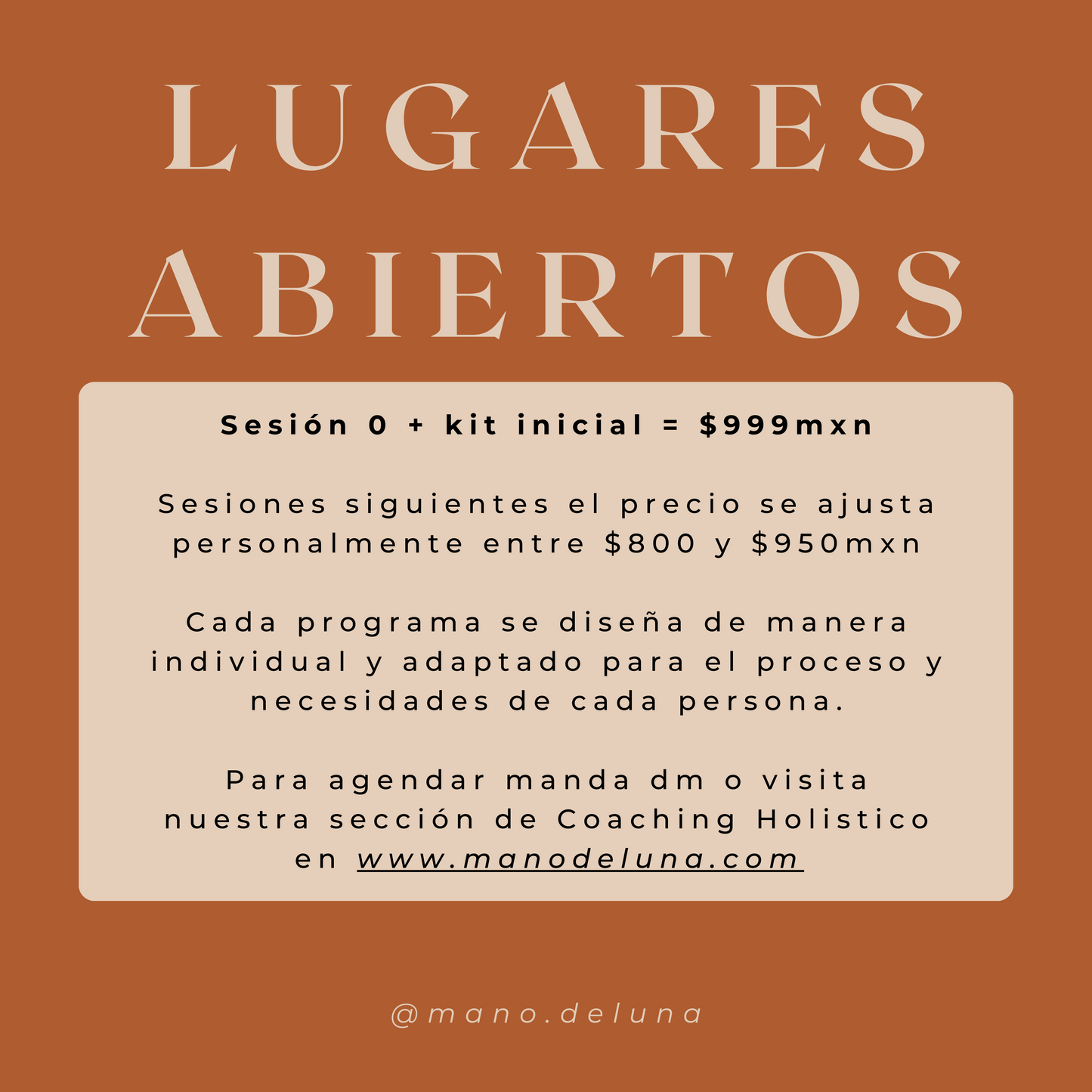 COACHING HOLÍSTICO