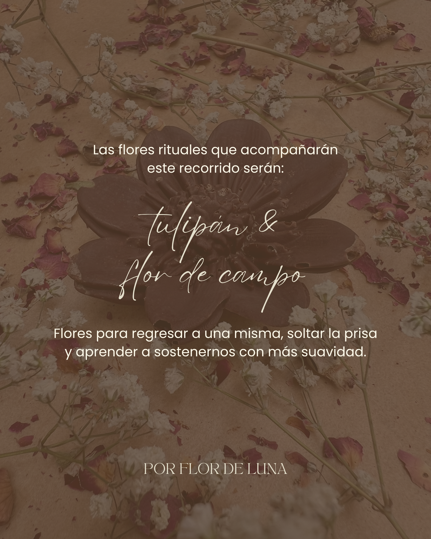 JUNIO - VOLVER AL CUERPO